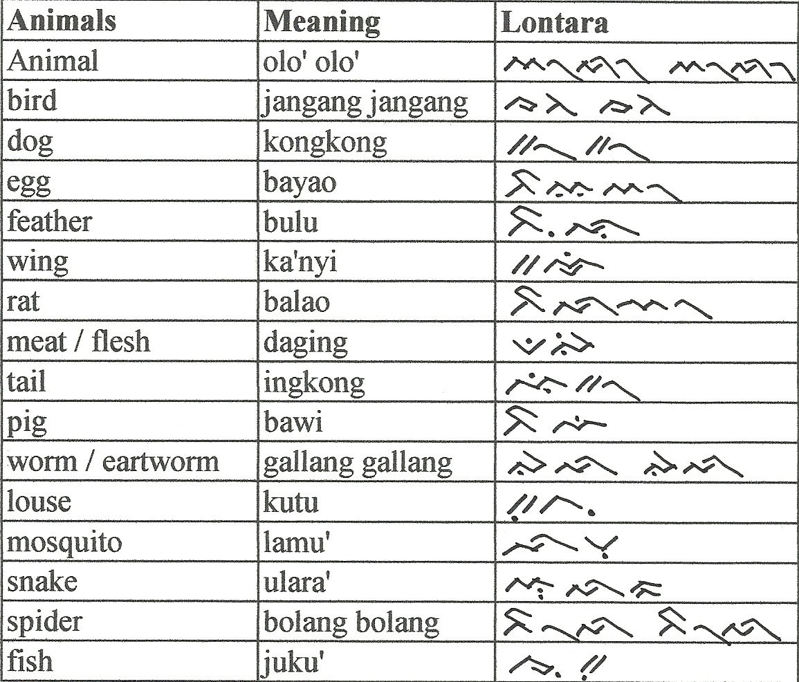 lontara6